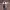 https://res.cloudinary.com/billionhands/image/upload/v1780500736/items/tn0rkbcwplmvvfu2acpb.webp-1cover
