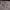 https://res.cloudinary.com/billionhands/image/upload/v1780501655/items/fstefeiiz1netkrxzlaa.jpg-3cover