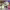 https://res.cloudinary.com/billionhands/image/upload/v1780501661/items/cquk0kvno5butxayf2qb.png-2cover