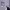 https://res.cloudinary.com/billionhands/image/upload/v1780501948/items/n0oxo2wuucbpuud75vbs.jpg-0cover