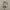 https://res.cloudinary.com/billionhands/image/upload/v1780502158/items/rbq14ugbahxkthrwouxs.webp-0cover