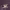 https://res.cloudinary.com/billionhands/image/upload/v1780502706/items/rqcw25u0oraafcn7kx3x.jpg-3cover