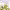 https://res.cloudinary.com/billionhands/image/upload/v1780502927/items/bqbwfnohypyade9mpfww.jpg-0cover