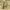 https://res.cloudinary.com/billionhands/image/upload/v1780503050/items/bmdrhnligp9opecrf4xn.jpg-3cover