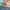 https://res.cloudinary.com/billionhands/image/upload/v1780503070/items/ezte4w7novvklanu5bwx.jpg-3cover