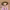 https://res.cloudinary.com/billionhands/image/upload/v1780503200/items/fgot6zqhllvmnipuoly6.png-0cover
