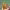 https://res.cloudinary.com/billionhands/image/upload/v1780503363/items/oullotizmprtvap5214o.webp-2cover