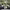 https://res.cloudinary.com/billionhands/image/upload/v1780503554/items/vj28unqb5cv1et7wfj2s.webp-3cover