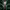 SHODAN (System Shock Series) cover