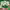 https://res.cloudinary.com/billionhands/image/upload/v1780504387/items/tkig2t7kvwpce2noabbs.jpg-3cover