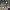 https://res.cloudinary.com/billionhands/image/upload/v1780504551/items/dggfdsoavzx3iuaz9zqn.jpg-0cover