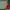 https://res.cloudinary.com/billionhands/image/upload/v1780504565/items/vig0l8eoqjxtcanr6jxd.png-0cover