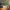 https://res.cloudinary.com/billionhands/image/upload/v1780504995/items/n1t56pmb8x1nxquifqkb.jpg-3cover
