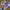 https://res.cloudinary.com/billionhands/image/upload/v1780506306/items/imwuowgdsdrcja5cn4vo.jpg-1cover
