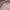 https://res.cloudinary.com/billionhands/image/upload/v1780507576/items/gwhkqzywf6bkm0x2p1lt.webp-3cover