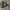https://res.cloudinary.com/billionhands/image/upload/v1780507576/items/uy7ykmqlpzdkasr7i9z4.jpg-1cover