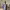 https://res.cloudinary.com/billionhands/image/upload/v1780507585/items/yzz7vkuxozqknewbxwtd.jpg-2cover