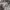 https://res.cloudinary.com/billionhands/image/upload/v1780507736/items/myyvh0wmnsslzexodzbw.jpg-2cover