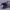 https://res.cloudinary.com/billionhands/image/upload/v1780507849/items/ivgmxn1urmoi64dwcmwh.jpg-0cover