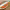 https://res.cloudinary.com/billionhands/image/upload/v1780507850/items/fkhrya7vyzh4sy7e1s0p.jpg-2cover
