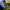 https://res.cloudinary.com/billionhands/image/upload/v1780508079/items/irctitcpqnypuwzu3zve.png-2cover