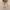 https://res.cloudinary.com/billionhands/image/upload/v1780508080/items/eq3htluyki4qe8gf1ned.jpg-0cover