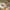 https://res.cloudinary.com/billionhands/image/upload/v1780508096/items/ufk5evkjqoptsjj92vs3.jpg-2cover