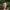 https://res.cloudinary.com/billionhands/image/upload/v1780508124/items/ieyjq0nll7sls0mw3dt2.webp-1cover
