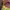 https://res.cloudinary.com/billionhands/image/upload/v1780508270/items/ym8xz1zluyycluf4imng.jpg-2cover