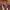https://res.cloudinary.com/billionhands/image/upload/v1780508273/items/jfulyv8zwkkgzqj1pt4m.webp-2cover