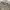 https://res.cloudinary.com/billionhands/image/upload/v1780508417/items/dc9itupkp9bafiteyktx.webp-2cover