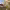https://res.cloudinary.com/billionhands/image/upload/v1780508596/items/vrjqwrjmzdfagmkqn5jd.jpg-2cover