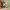 https://res.cloudinary.com/billionhands/image/upload/v1780508703/items/jmhk5kutnlteb2dpaqpo.webp-3cover