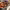 https://res.cloudinary.com/billionhands/image/upload/v1780509123/items/gmp5x17zjer2tjmwilhx.webp-1cover