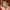 All I Want for Christmas Is You cover