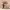 https://res.cloudinary.com/billionhands/image/upload/v1780510021/items/gqsl4yvqphlcb8pl6v29.jpg-0cover