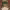 https://res.cloudinary.com/billionhands/image/upload/v1780510041/items/vrlr7mfwcxtfuetl009a.avif-0cover