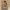 https://res.cloudinary.com/billionhands/image/upload/v1780510055/items/n3qsbfblicygkfkffg9g.jpg-0cover