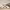 https://res.cloudinary.com/billionhands/image/upload/v1780510613/items/u5h1o2fabh2tgtx1sxdo.jpg-0cover