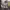 https://res.cloudinary.com/billionhands/image/upload/v1780510618/items/gvbdmnbznrzgljcynvey.jpg-3cover