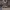 https://res.cloudinary.com/billionhands/image/upload/v1780510628/items/yvdhumtspsycu7em19t9.webp-3cover