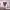 https://res.cloudinary.com/billionhands/image/upload/v1780511195/items/io63vkcjqz1o5slcypux.jpg-3cover