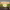 https://res.cloudinary.com/billionhands/image/upload/v1780511651/items/enb6ioausghmhfxjzsa7.jpg-3cover