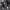 https://res.cloudinary.com/billionhands/image/upload/v1780512508/items/yms91jxkphl6hxnba6gl.jpg-2cover