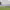 https://res.cloudinary.com/billionhands/image/upload/v1780512703/items/l38hmbvu2vu1c0avxlcn.jpg-0cover