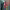 https://res.cloudinary.com/billionhands/image/upload/v1780513238/items/h6ofvtmnbcwpmlvf1gof.jpg-0cover