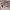 https://res.cloudinary.com/billionhands/image/upload/v1780513287/items/m4klmtyiovbf4ycasz1q.webp-2cover