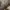 https://res.cloudinary.com/billionhands/image/upload/v1780513878/items/lnmvvw4effgogocf71jp.webp-2cover