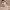 https://res.cloudinary.com/billionhands/image/upload/v1780514094/items/zysccaqidfatdreq3g7a.webp-0cover