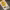 https://res.cloudinary.com/billionhands/image/upload/v1780514592/items/lgocvl6gqb16cxzzfngs.jpg-1cover